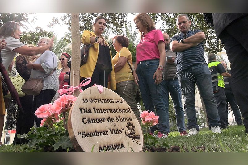 arbol-homenaje-luchadoras-cancer-mama