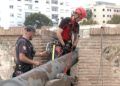 bomberos-jornadas-rescate-vertical-3