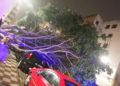 caida-arbol-coche-otero-5