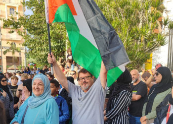 carlos-anton-torregrosa-manifestacion-apoyo-palestina