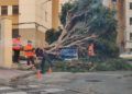 ceuta-recupera-normalidad-borrasca-aline-002