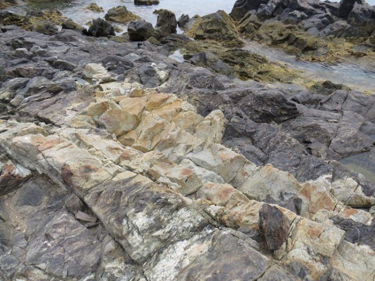 exploracion-geologica-patrimonial-litoral-acantilados-recinto-sur-004