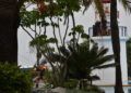 jornadas-rescate-bomberos-parque-maritimo-35