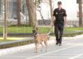nea-heroe-cuatro-patas-tras-rastro-delito-006