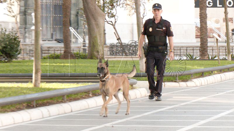 nea-heroe-cuatro-patas-tras-rastro-delito-006