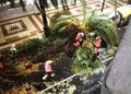 palmera-caida-marina-1