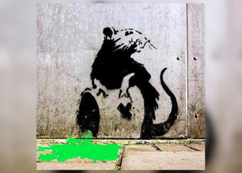 ratas-santa-catalina