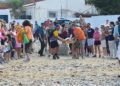 recogida-residuos-san-amaro-alfau-suelta-tortuga-guardia-civil-geas-42