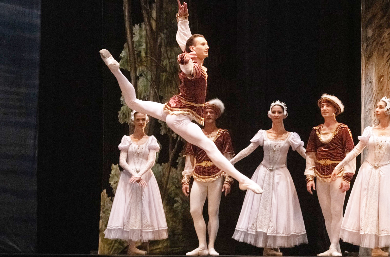 ballet-lago-cisnes-1