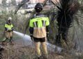 bomberos-incendio-ratrojos-108-viviendas-3