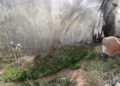 bomberos-incendio-ratrojos-108-viviendas-6