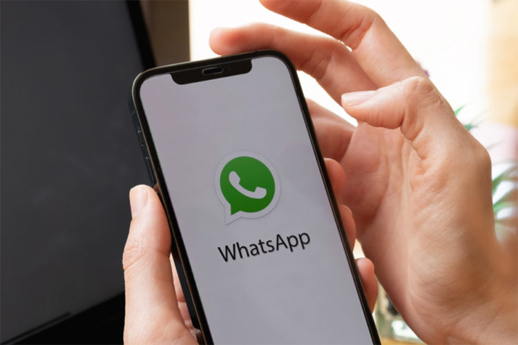 cientificos-ugr-miden-sistema-nervioso-enviar-whatsapp