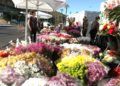 dia-todos-santos-cementerio-santa-catalina-2023-2
