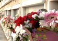 dia-todos-santos-cementerio-santa-catalina-2023-36