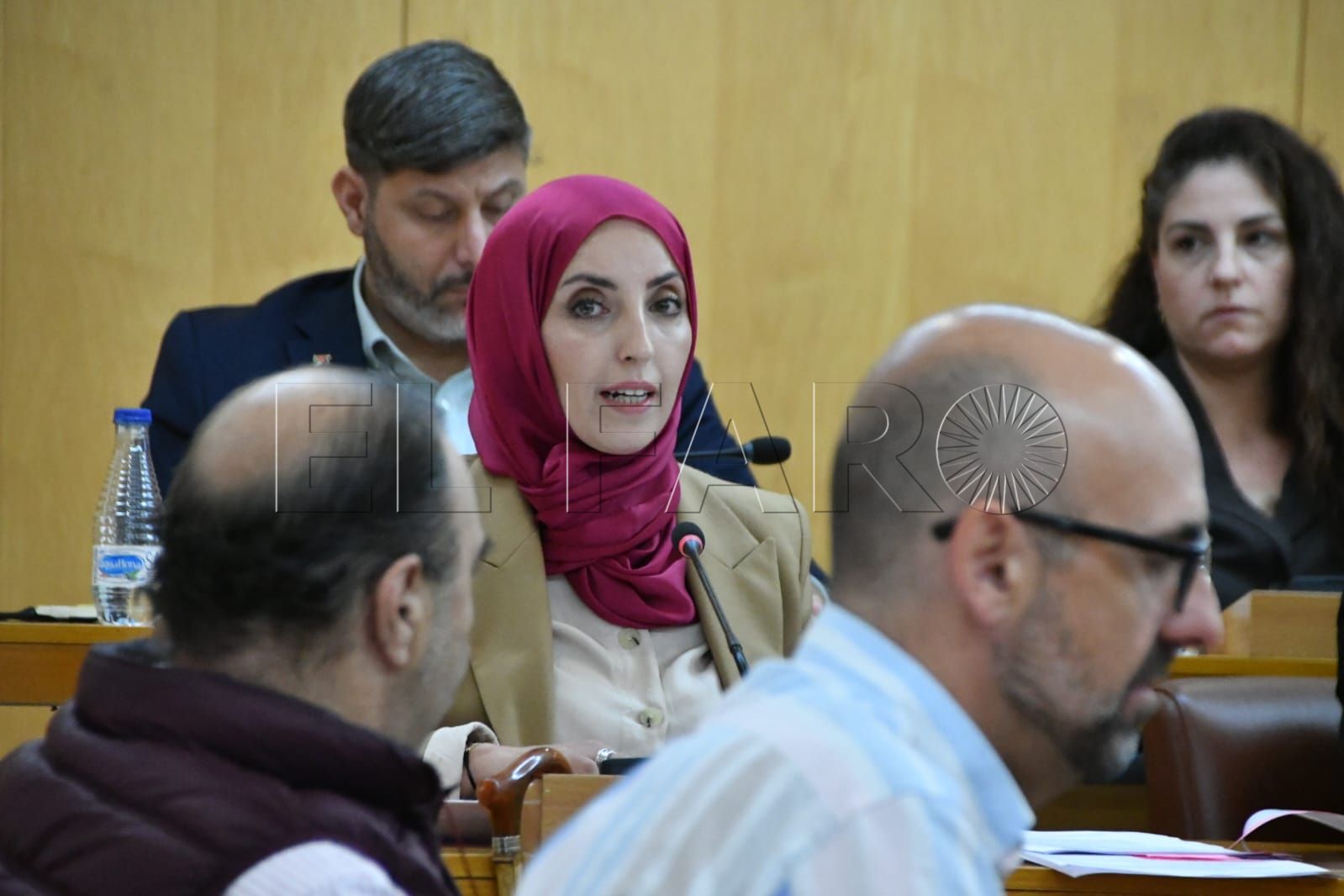fatima-hamed-mohamed-mustafa-pleno-octubre