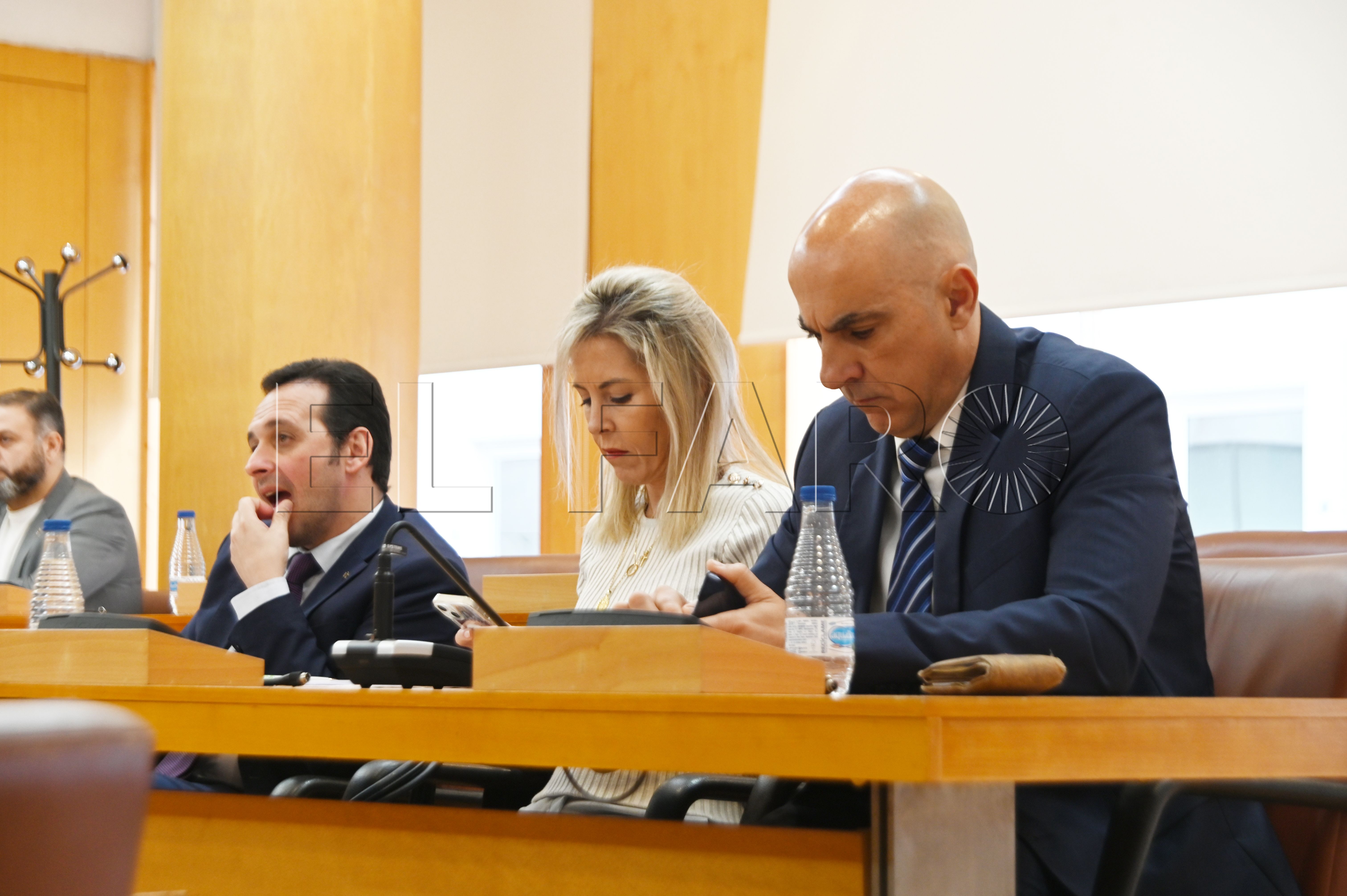 francisco-ruiz-vox-pleno-27-noviembre
