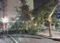 incidencias-viento-caida-arboles-sin-luz-benzu-1