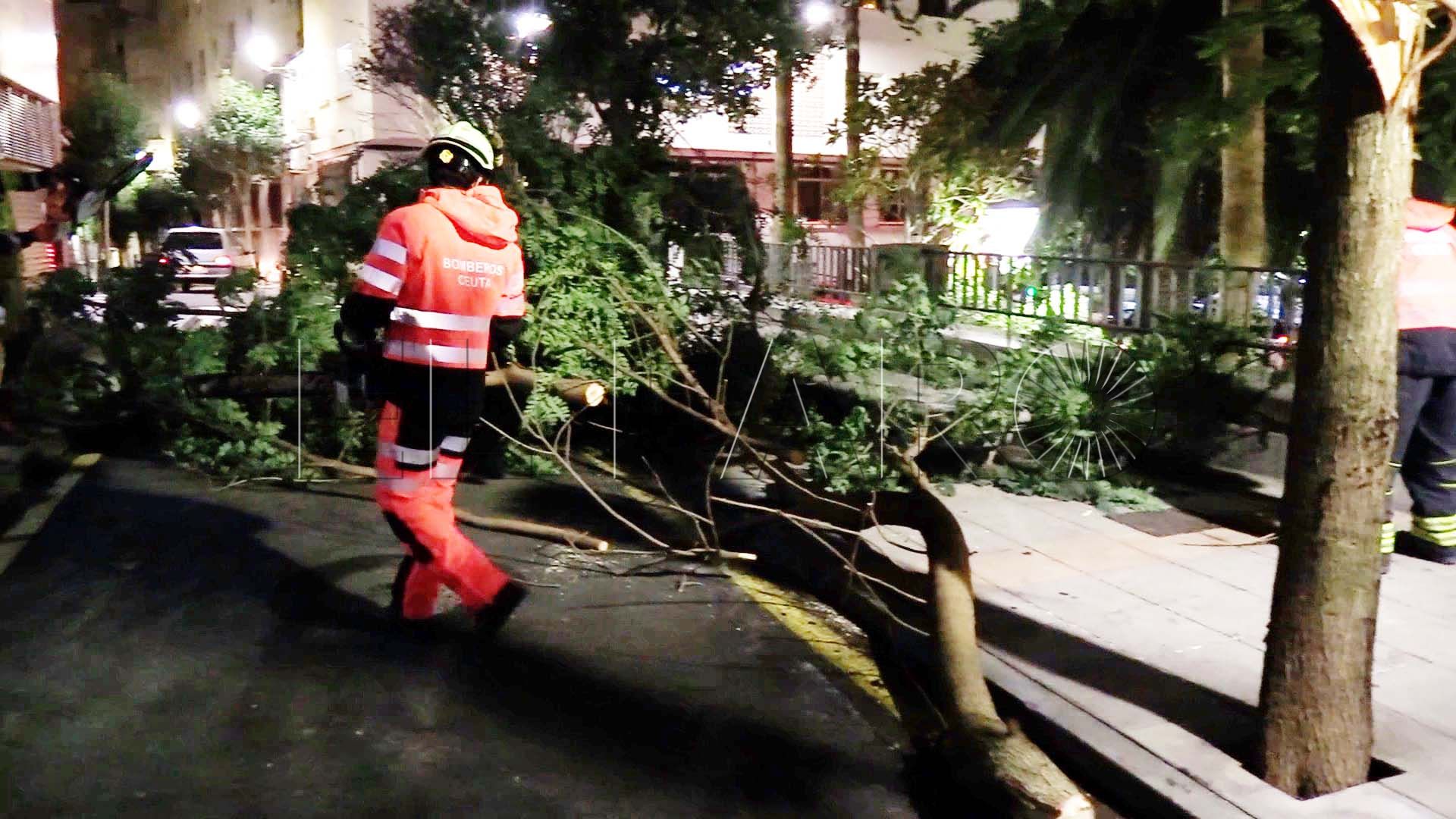 incidencias-viento-caida-arboles-sin-luz-benzu
