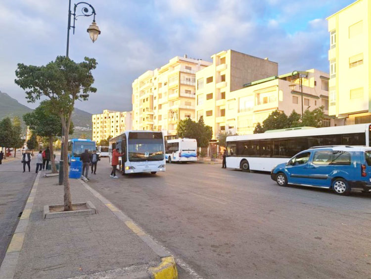 nuevos-autobuses-tetuan-rincon-castillejos-2