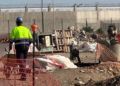 obras-cimentacion-nave-banco-alimentos-22
