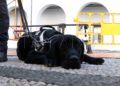 perros-guia-once-personas-ciegas-1