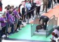perros-guia-once-personas-ciegas-13