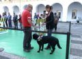 perros-guia-once-personas-ciegas-16