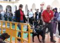 perros-guia-once-personas-ciegas-17