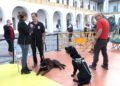perros-guia-once-personas-ciegas-18