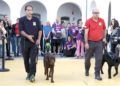 perros-guia-once-personas-ciegas-7
