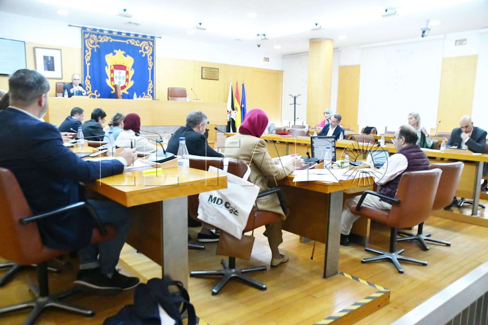 pleno-octubre