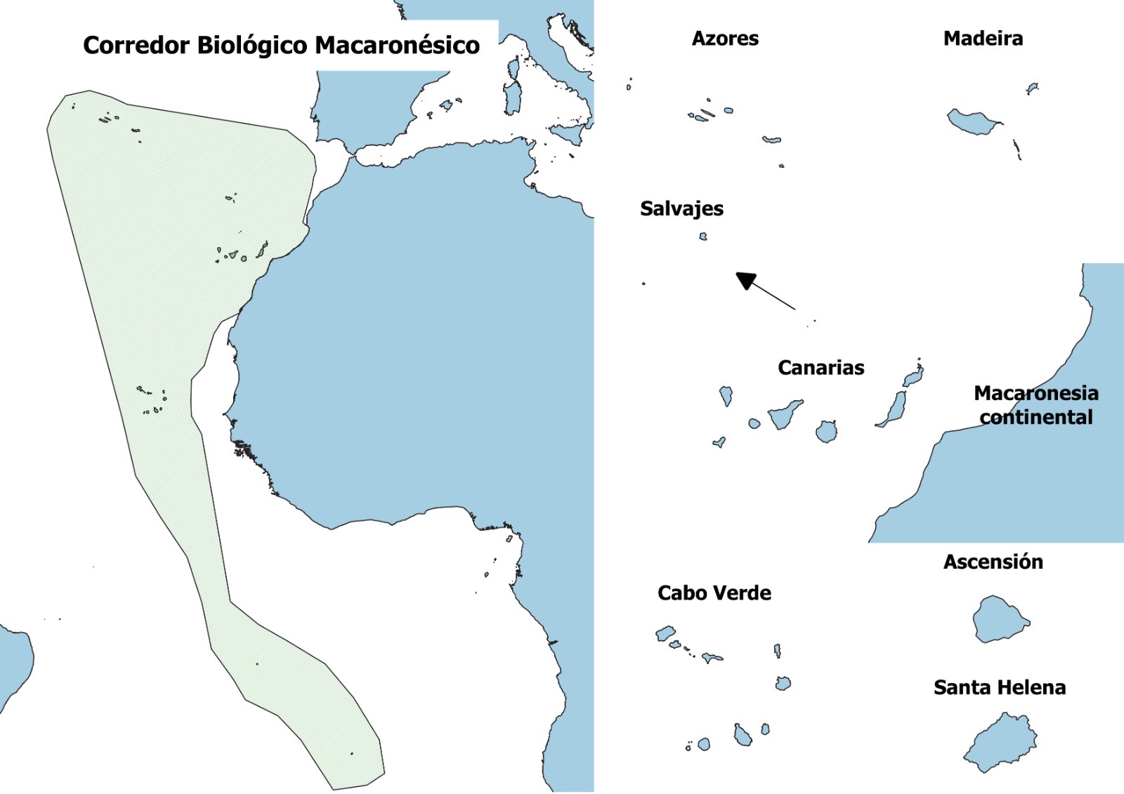 riqueza-medio-marino-colaboracion-septem-nostra-1