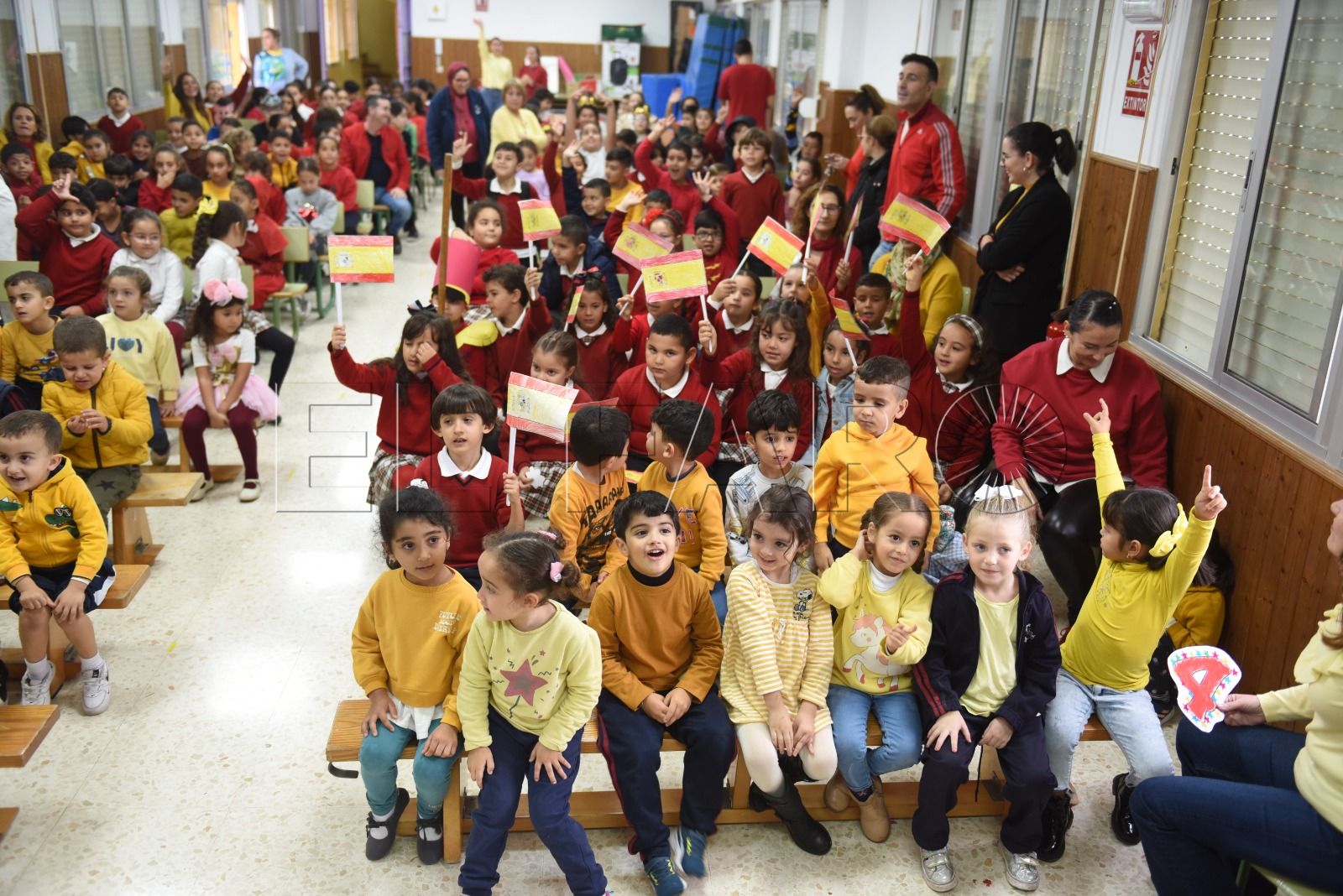 celebracion-constitucion-colegio-rosalia-castro-3