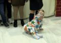 fiesta-navidad-asociacion-sindrome-down-13