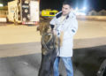 makura-perro-adoptado-protectora-1