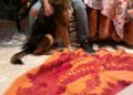 makura-perro-adoptado-protectora-3
