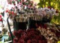 mercadillo-navidad-plaza-nelson-mandela-23