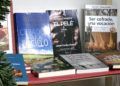 mercadillo-navidad-plaza-nelson-mandela-43