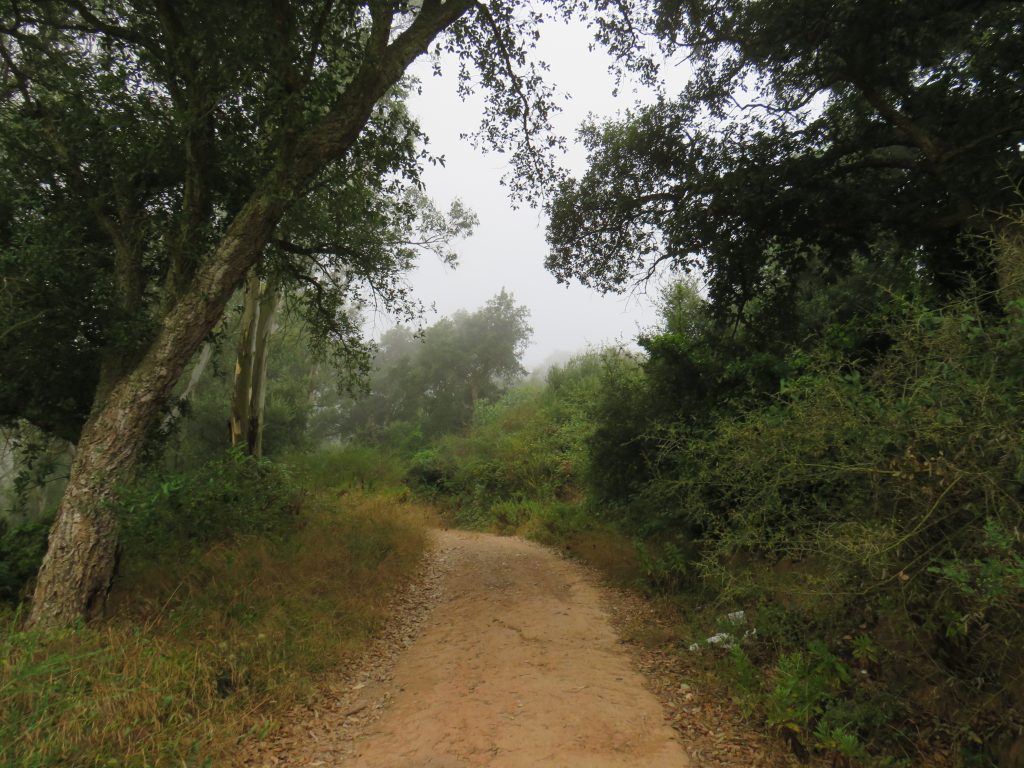 paisaje-vistas-ceuta-2