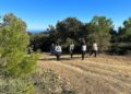 plena-inclusion-terapia-monte-5
