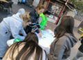 recogida-firmas-satse-enfermeras-escolares-3
