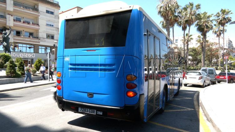 autobuses-amgevicesa