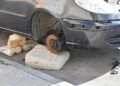 coches-abanconados-terminan-calcinados-huerta-tellez-4