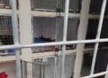 denuncia-voluntarios-animalistas-centro-zoosanitario-4
