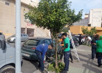 huertos-urbanos-ceuta-cuentan-nueva-toma-riego-008