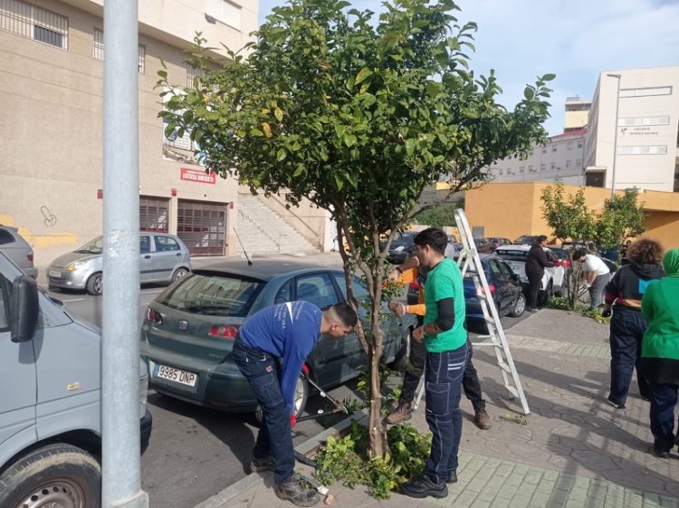 huertos-urbanos-ceuta-cuentan-nueva-toma-riego-008