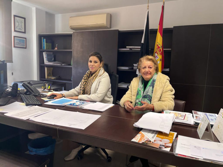 interterritorial-sanidad-mascarillas-gripe-virus