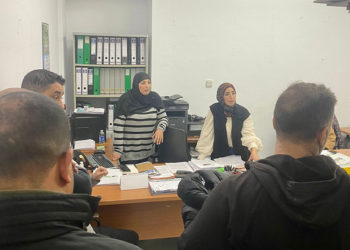 mdyc-brigadas-verdes-pleno-estabilidad