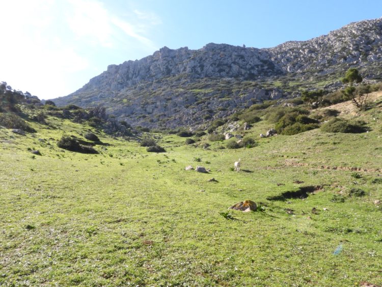 naturaleza-colaboracion-septem-nostra-1