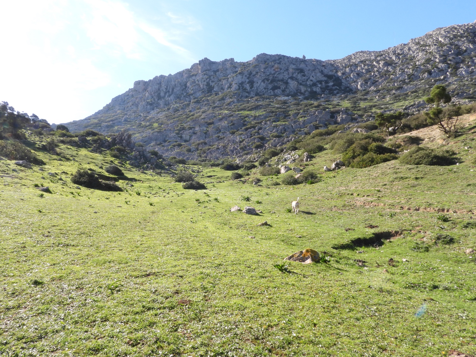 naturaleza-colaboracion-septem-nostra-1